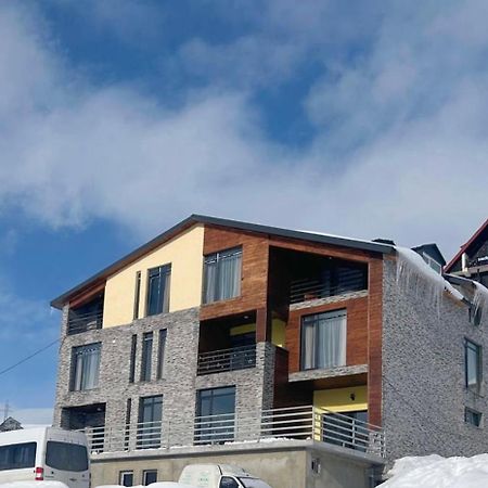 Dandelion Hotel Gudauri Ganisi Buitenkant foto