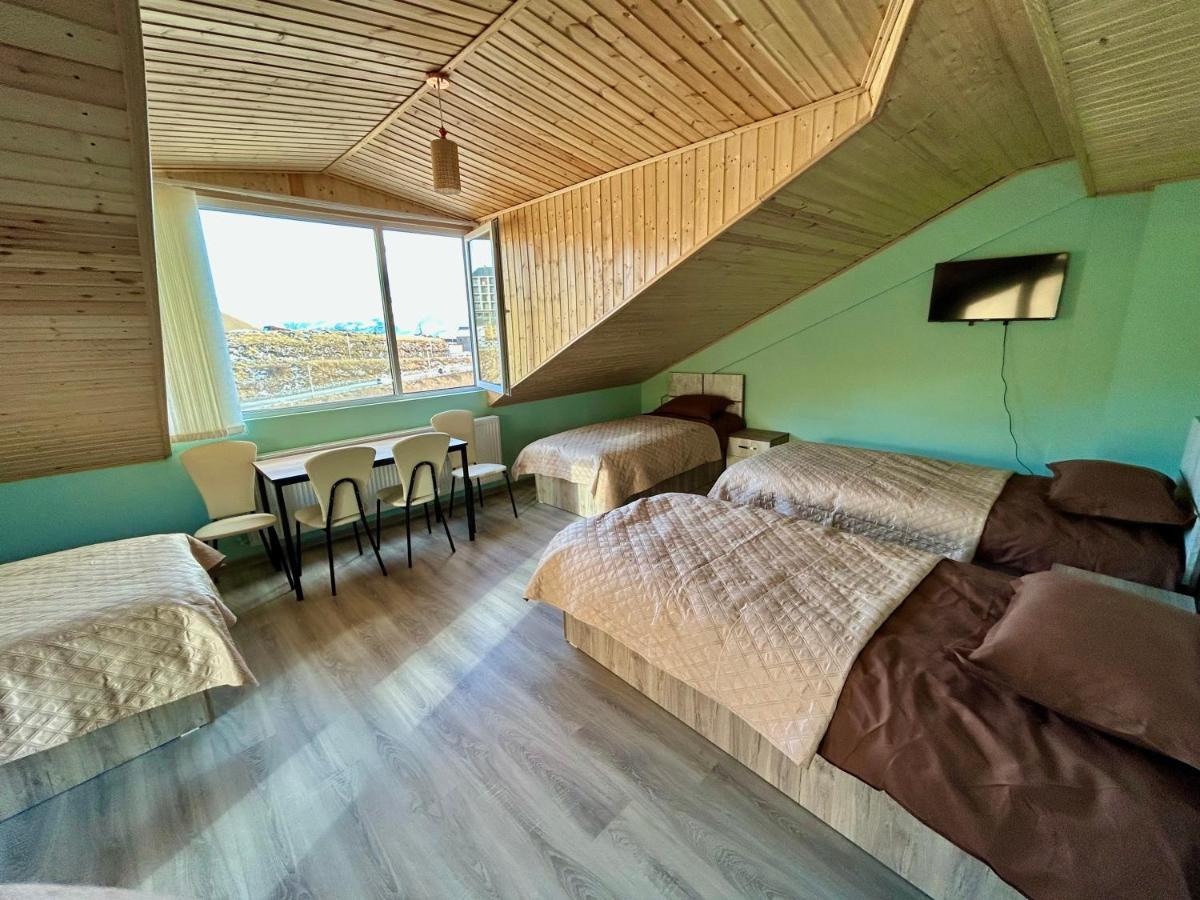Dandelion Hotel Gudauri Ganisi Buitenkant foto